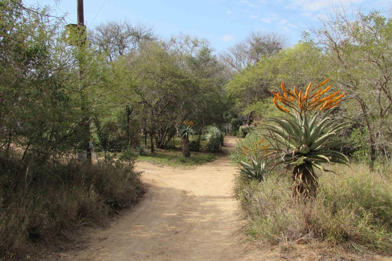 Amanzimlotzi Riverside Bush Camp Hoedspruit Eksteriør billede