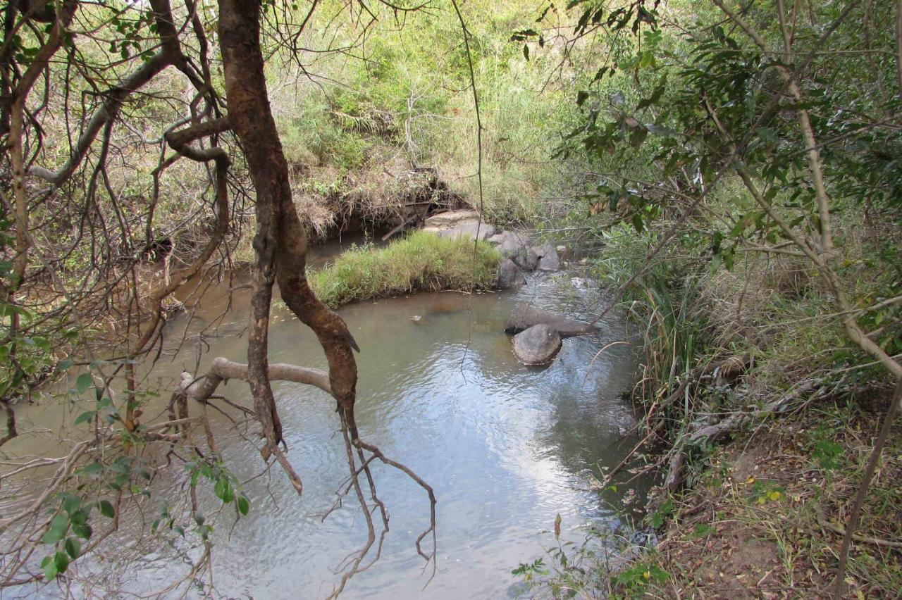 Amanzimlotzi Riverside Bush Camp Hoedspruit Eksteriør billede