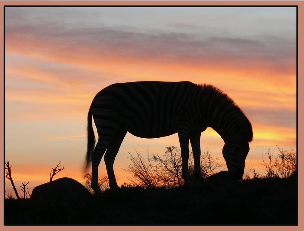 Amanzimlotzi Riverside Bush Camp Hoedspruit Eksteriør billede