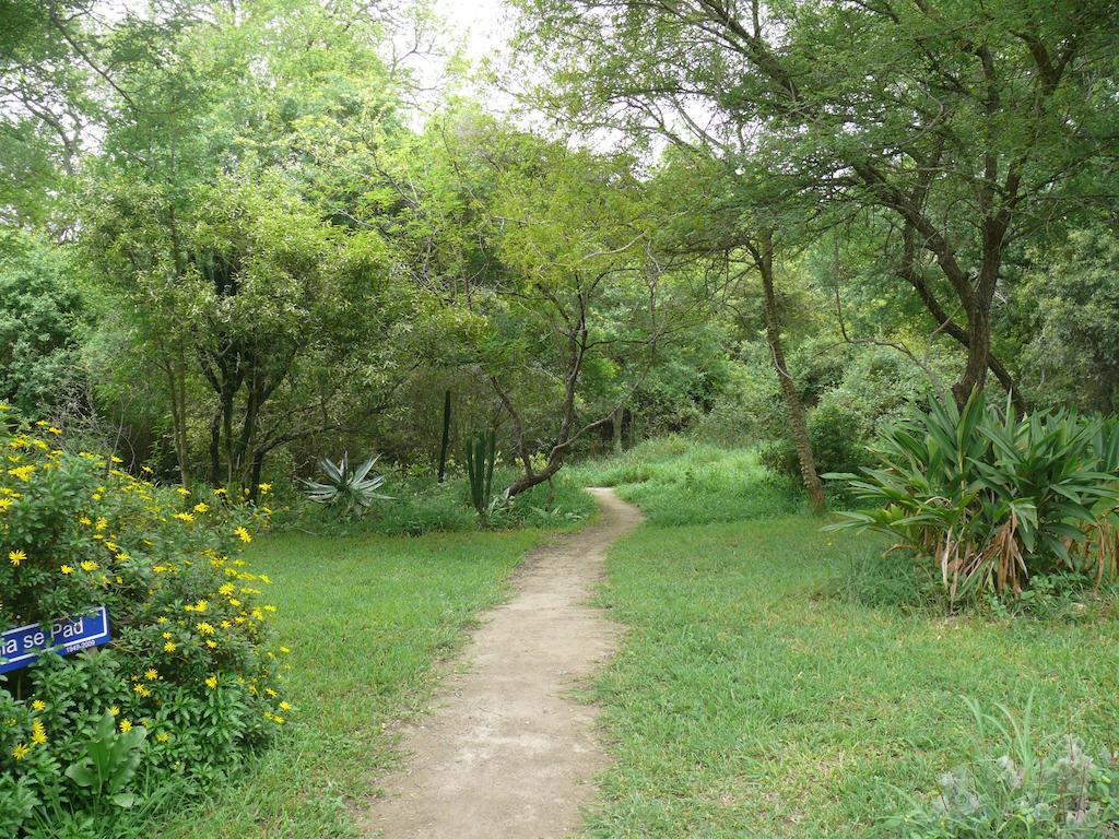 Amanzimlotzi Riverside Bush Camp Hoedspruit Værelse billede