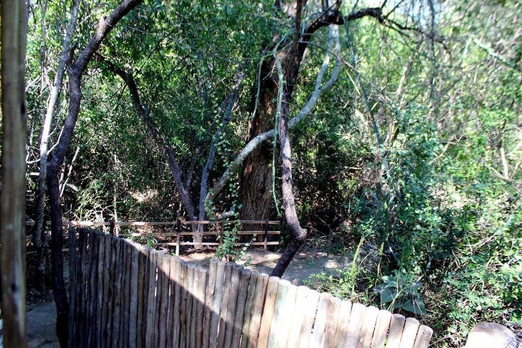 Amanzimlotzi Riverside Bush Camp Hoedspruit Eksteriør billede
