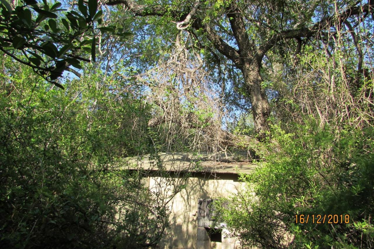 Amanzimlotzi Riverside Bush Camp Hoedspruit Eksteriør billede