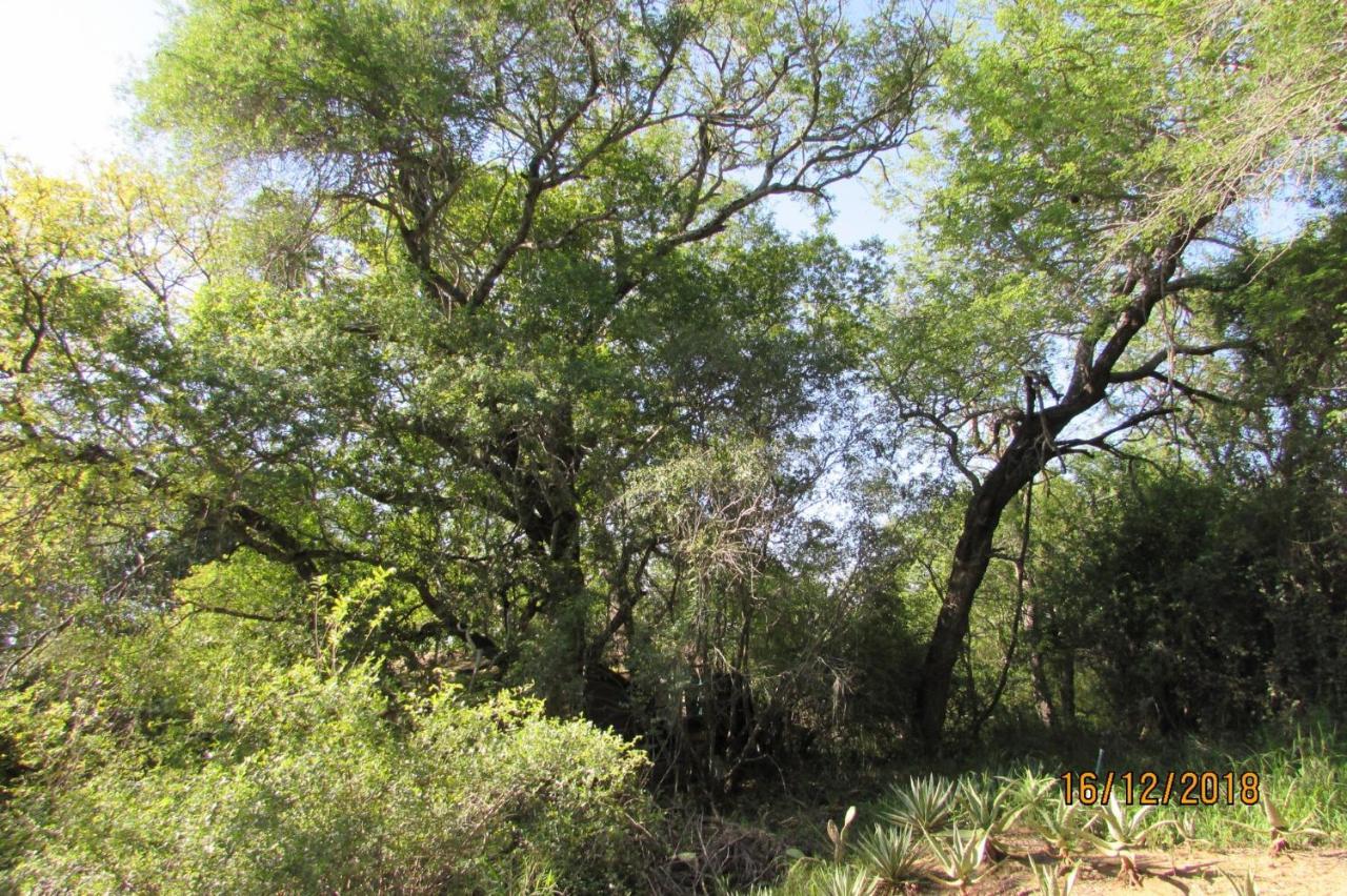 Amanzimlotzi Riverside Bush Camp Hoedspruit Eksteriør billede