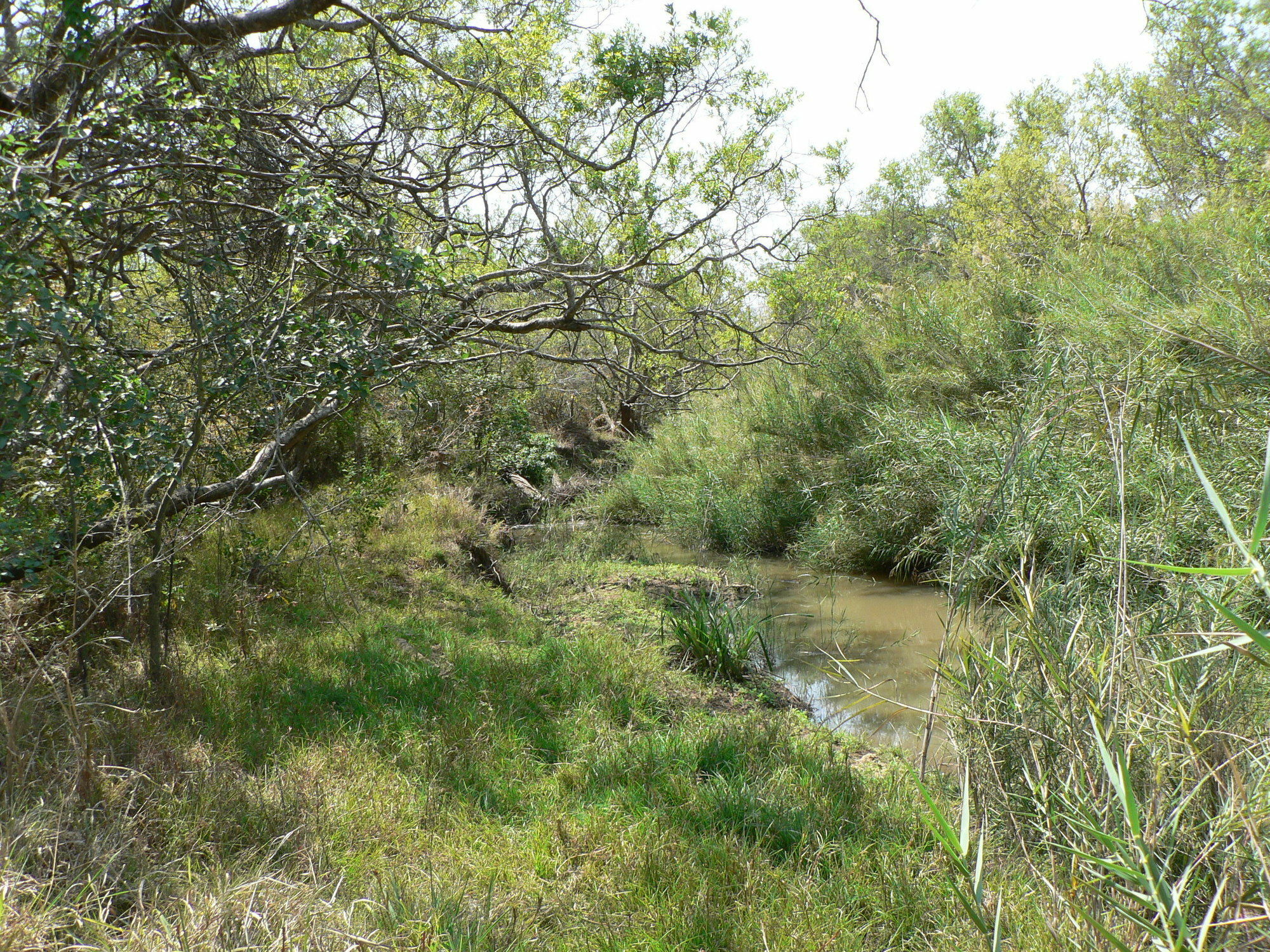 Amanzimlotzi Riverside Bush Camp Hoedspruit Eksteriør billede